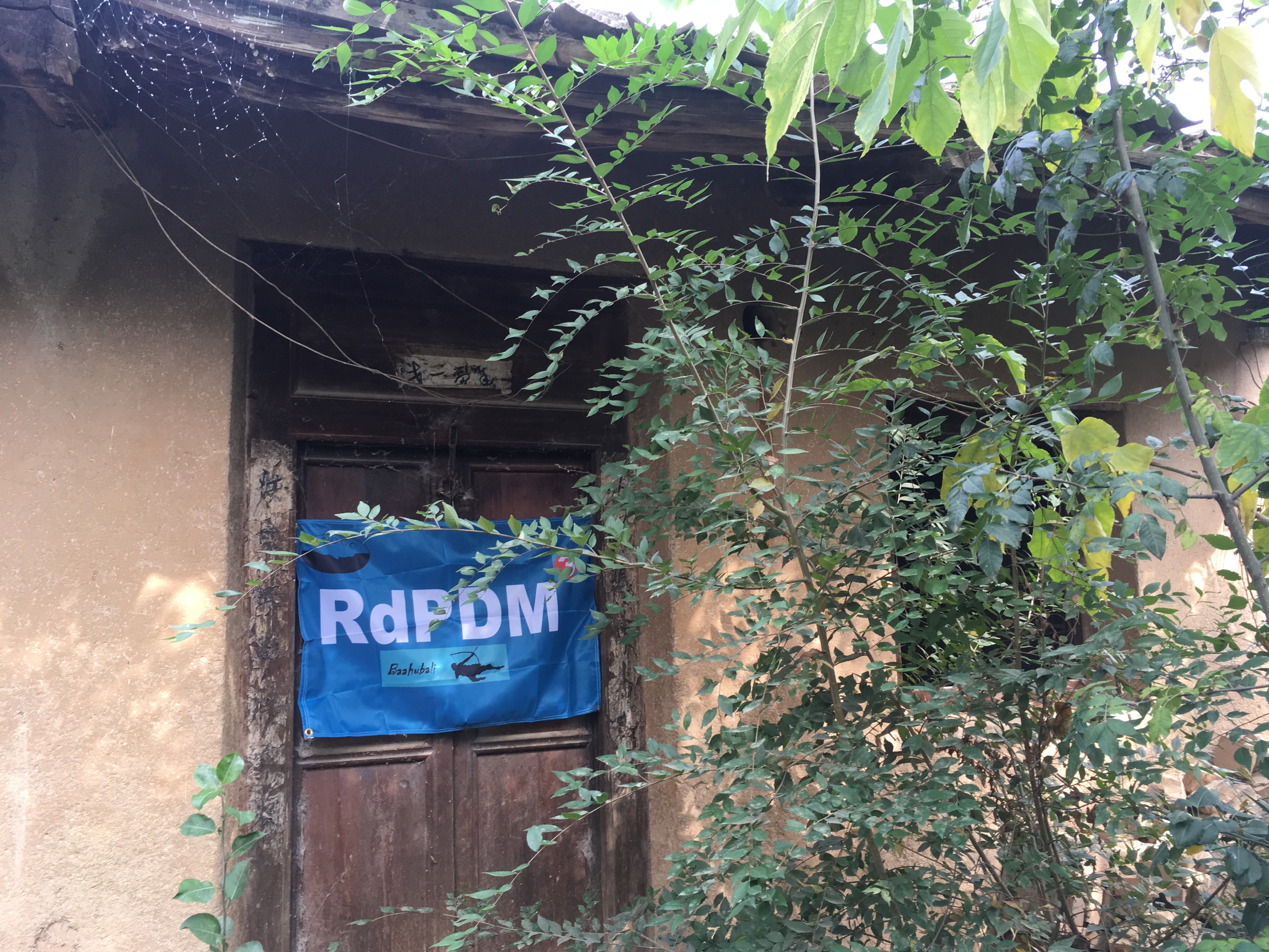 Gangu Flag